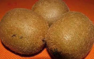 XOLDAA hybrid kiwi fruit seeds Seed(72 per packet)