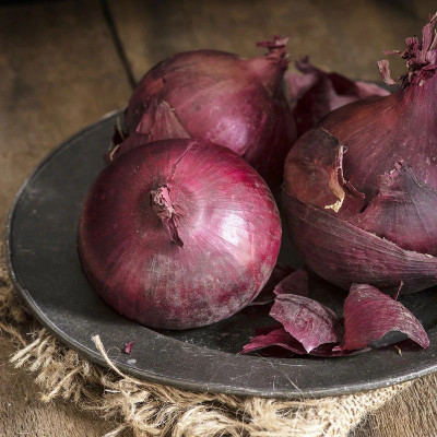 WATIKA Onion Seeds - Ruby Red Seed(1500 per packet)