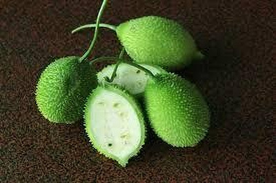 BDSresolve spiny gourd seeds/kantola seeds 9 Seed(9 per packet)