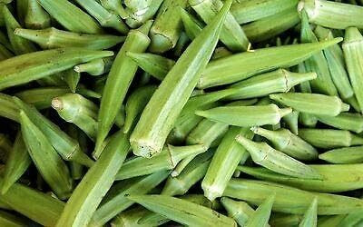 WILLVINE Organic F1 Hybrid Okra, Clemson Spineless Seeds-[100 Seeds] Seed(100 per packet)