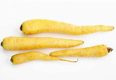 CYBEXIS Spanish Yellow Cream Carrot Seeds with a Unique Creamy Flavor4000 Seeds Seed(4000 per packet)