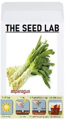 KNESSiN Asparagus Seed(30 per packet)