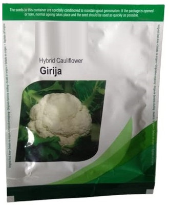 WILLVINE NKR -I CAULIFLOWER/ HYBRID / PHOOL GOBHI / गोभी[50g, 15000 Seeds] Seed(15000 per packet)