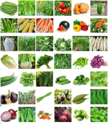 the green dotcom 40 Variety vegetable Combo Seed(2300 per packet)
