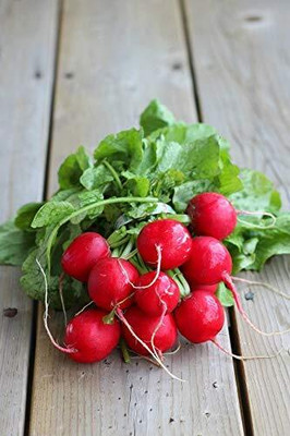 Aywal Radish - Round Red Mooli Hybrid Vegetable Seed(275 per packet)