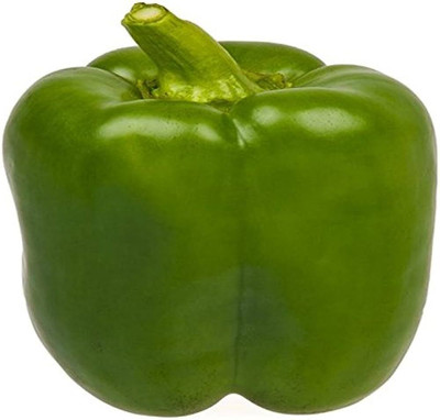 BDSresolve Hara shimla mirch/capsicum seeds 69 Seed(69 per packet)
