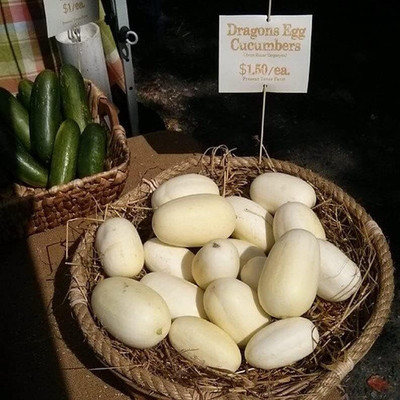 Qualtivate RES-2A Dragon Eggs White Cucumber Seeds Seed(300 per packet)