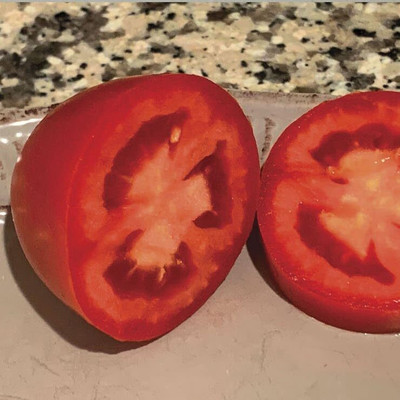 Biosnyg High Germination Zenzei Tomato Fresh Healthy Seeds - (2000 Seeds) Seed(2000 per packet)