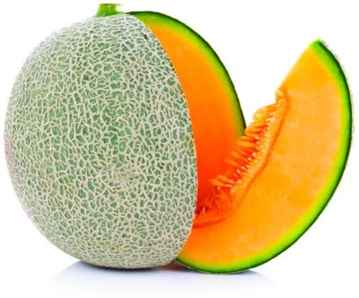 Quentova Shamam Fruit (Muskmelon)-CIAR-22C Seed(100 per packet)
