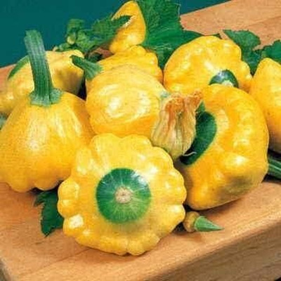 Qualtivate XXX-9A Sunburst Hybrid Squash Seeds Seed(30 per packet)