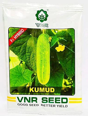 Cloud Farm VNR KUMUD Kheera and cucumbers seed Seed (400 per packet) Seed(400 per packet)