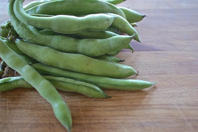 Quentova Organic Bakla/Broad Beans Vegetable-VDI Seed(75 per packet)