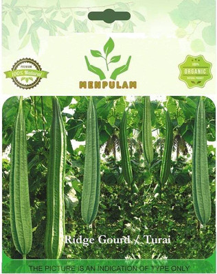 Cloud Farm Ridge Gourd Seed(50 per packet)