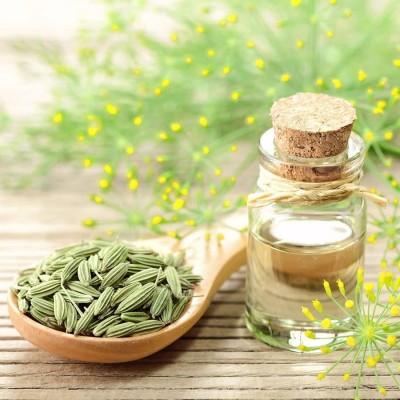 CYBEXIS NDIR-68 - Common Fennel (Foeniculum vulgare) - (750 Seeds) Seed(750 per packet)