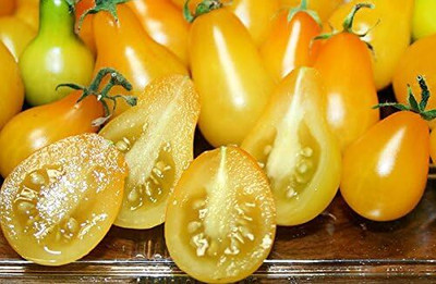 Qualtivate RES-7A Yellow Pear Tomato Seed(300 per packet)