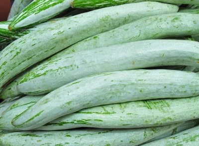 Avysa Snake Gourd – Trichosanthes Cucumerina Seed(50 per packet)