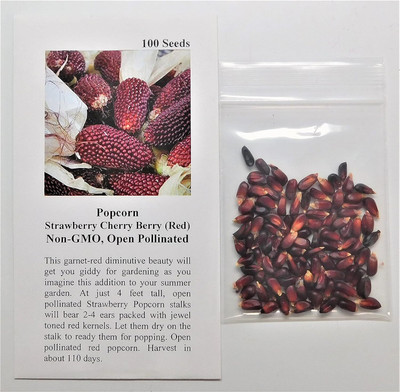 WILLVINE MAH -X Popcorn Strawberry Cherry Berry(Red)-[25g] Seed(100 per packet)