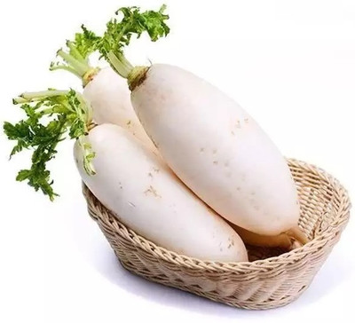 VINTI White Radish (Mooli) Vegetable (मूली के बीज) Seed(800 per packet)