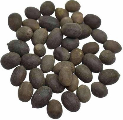 UNIQTRADERS Kamal Gatta Seed(51 per packet)