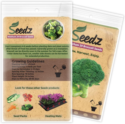 Qualtivate HUA-7A Broccoli Heirloom Waltham 29 Seed(300 per packet)