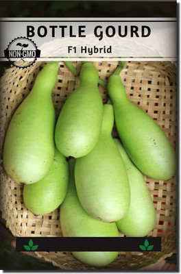 Qualtivate HYB-6A Bottle Gourd Long Organic F1 Hybrid Seeds Seed(50 per packet)