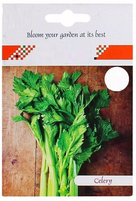 CYBEXIS Celery Hybrid Seeds2800 Seeds Seed(2800 per packet)