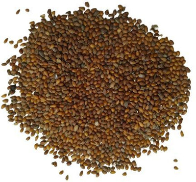 BDSresolve Penji flower seeds PACK OF 34 Seed(34 per packet)
