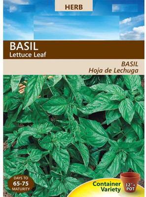Qualtivate XLR-76 Basil Seeds,Lettuce Leaf Seed(1000 per packet)
