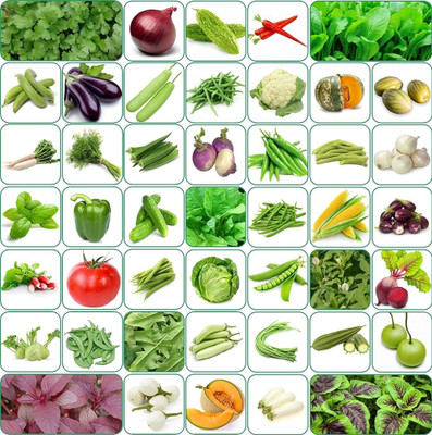 ibains All vegetable seeds Seed(590 per packet)