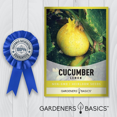VibeX ® RXI-305 Lemon Cucumber Seeds Seed(200 per packet)
