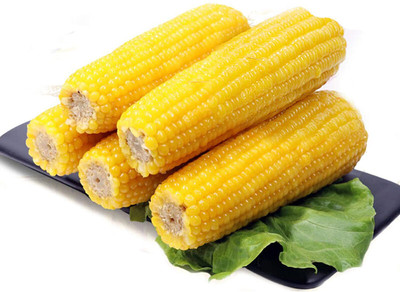 CYBEXIS Corn Seeds Natural High Germination Rate Yellow2000 Seeds Seed(2000 per packet)