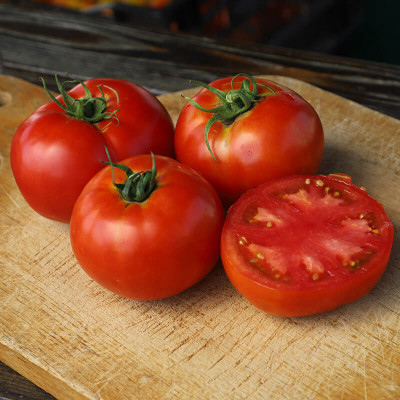 VRAKSHA Tomato Big Beef Seed(2000 per packet)