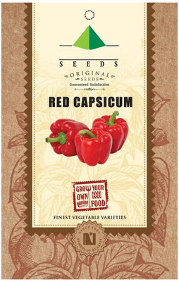 CYBEXIS Capsicum Seed(2400 per packet)