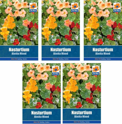 CYBEXIS 5 PACKETS of NASTURTIUM Alaska Mixed FLOWER Garden SEEDS Seed(1 g)