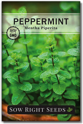 CYBEXIS GBPUT-95 - Peppermint - (1350 Seeds) Seed(1350 per packet)