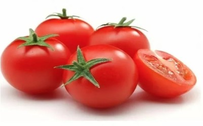 Quentova TOMATO-PALLAV-11U Seed(250 per packet)