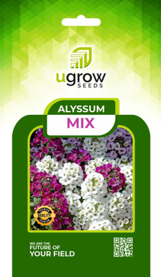 Clint AGRIMAX GARDENS BLEND COLORFUL ALYSSUM MIX ASSORTED ALYSSUM VARIETIES Seed(40 per packet)