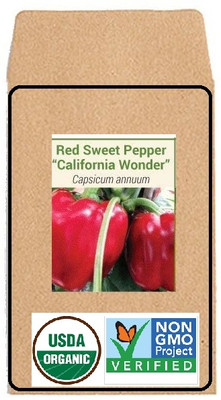 KNESSiN LAX-53 Capsicum Red Seed(150 per packet)