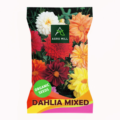AGRO MILL DAHLIA MULTIFLORA DOUBLE MIXED PREMIUM QUALITY FLOWER Seed(20 per packet)