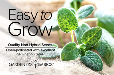 CYBEXIS VXI-87 - Sage for Planting - (150 Seeds) Seed(150 per packet)