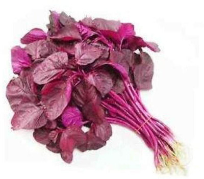 KNESSiN Spinach Seed, Amaranthus Leaf Lal Saag Cheera Seed Seed(200 per packet)