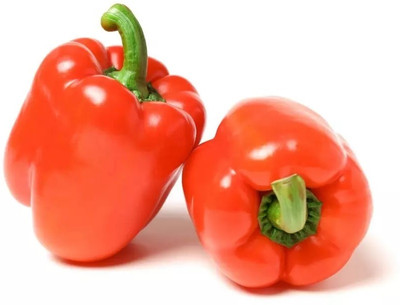 VASUDHA Shimla Mirch/Capsicum/Bell Pepper Seed(500 per packet)