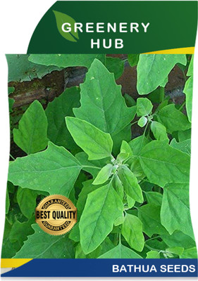 Greenery Hub Bathua Leaf Seeds – Fresh & Nutritious Green Seed(1 per packet)