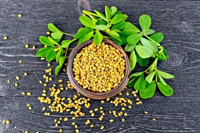 MORWINS Kasturi Methi Seeds (Fenugreek) Seed(100 per packet)