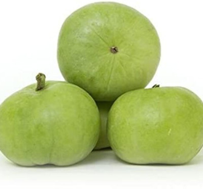 Farmonix Org_183_Tinda/Apple Gourd Premium Quality Seeds Seed(100 per packet)