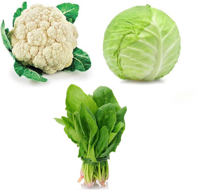 PSAgroinput PhoolGobhee-Pattagobhi-Spinach pack of 3 Seed(100 g)