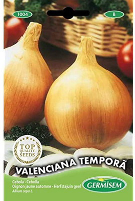 CYBEXIS Valenciana Tempora Onion Seeds1000 Seeds Seed(1000 per packet)