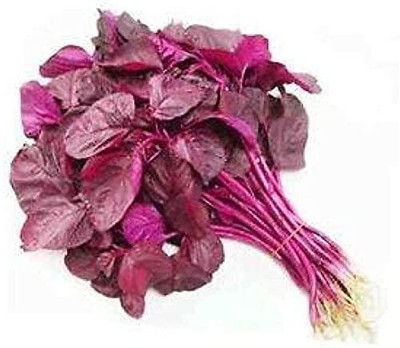 Aywal Amaranthus Leaf Cholai Red Saag Seed(750 per packet)