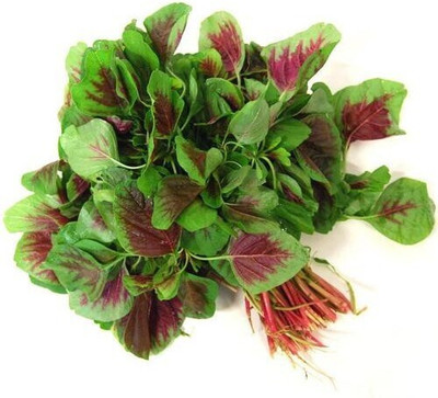 Quentova Amaranthus-LTK Seed(300 per packet)