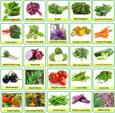 CYBEXIS Vegetable Seeds Combo, 25 Varieties Seed(10 g)